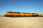 NREX 2943, NREX 2937, and FWWR 2008